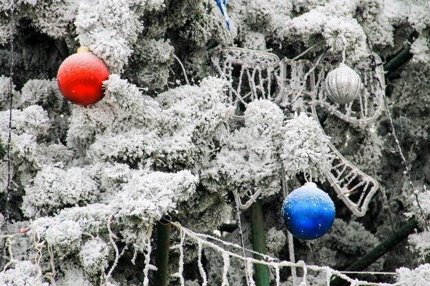 Addobbi natalizi sull'albero di Natale ricoperto di brina