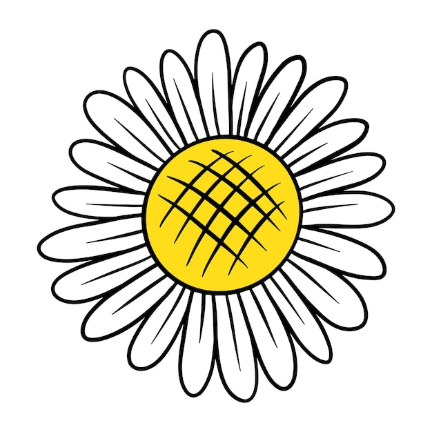 adesivo di fiore di margherita bianca con un elemento di disegno a bordo bianco