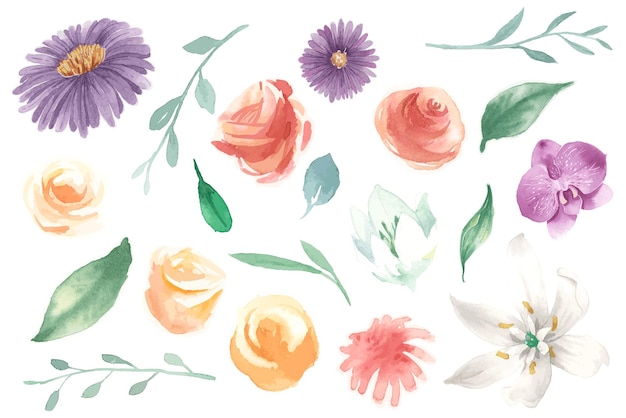 adesivo floreale disegnato a mano png set di giornali colorati ad acquerello
