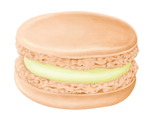 adesivo macaron png realistico illustrazione disegnata a mano sfondo trasparente
