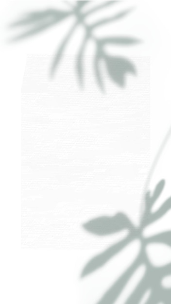 adesivo per banconote in carta PNG sullo sfondo trasparente