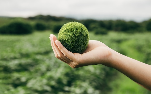 Adolescente asiatico che mostra la terra a disposizione, l'ecologia e il concetto sostenibile dell'ambiente.