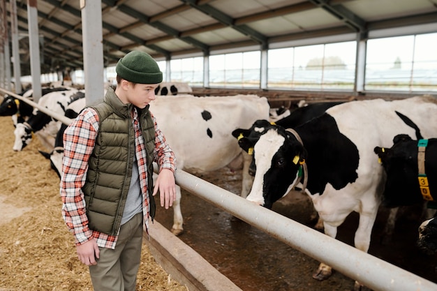 Adolescente curioso in cappello kaki che si appoggia sulla ringhiera della stalla e guarda le mucche mentre lavora alla stalla