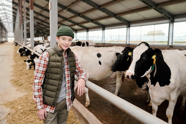 Adolescente sorridente in abbigliamento casual che ti guarda mentre è in piedi da un grande paddock con una mandria di mucche da latte e si prende cura del bestiame