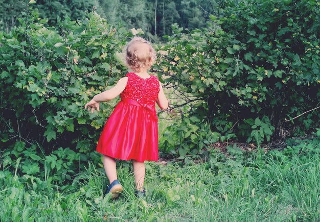 Adorabile bambina in abito rosso brillante che cammina nel parco estivo