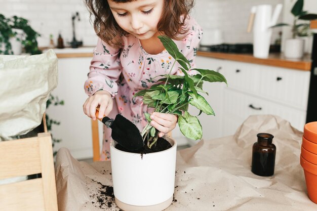 Adorabile bambina sta piantando una pianta d'appartamento in vaso a casa