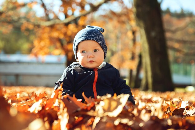 Adorabile bambino nel parco autunnale con foglie gialle Famiglia che cammina su una natura all'aperto