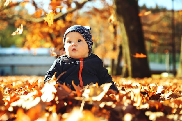 Adorabile bambino nel parco autunnale con foglie gialle Famiglia che cammina su una natura all'aperto