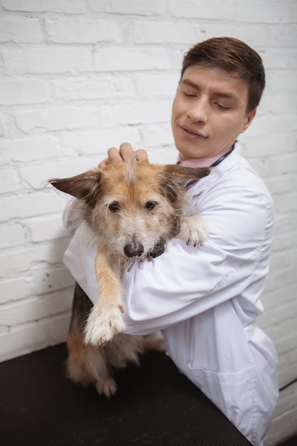 Adorabile cane di razza mista rifugio presso la clinica veterinaria