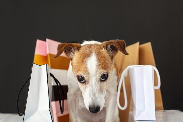 Adorabile cane seduto vicino a sacchetti di carta con merce dopo lo shopping su sfondo nero