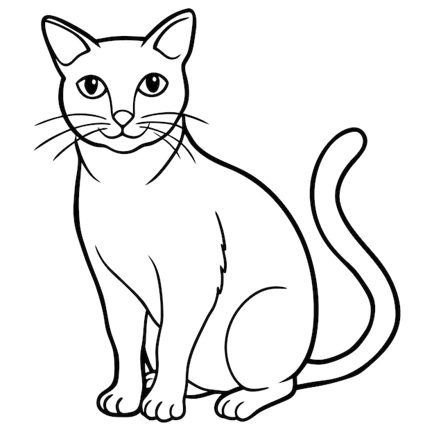 Adorabile gatto seduto