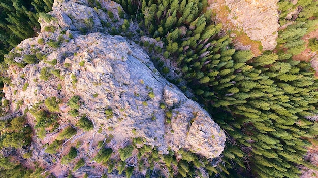 Aerea che guarda dall'alto su grandi montagne e pini