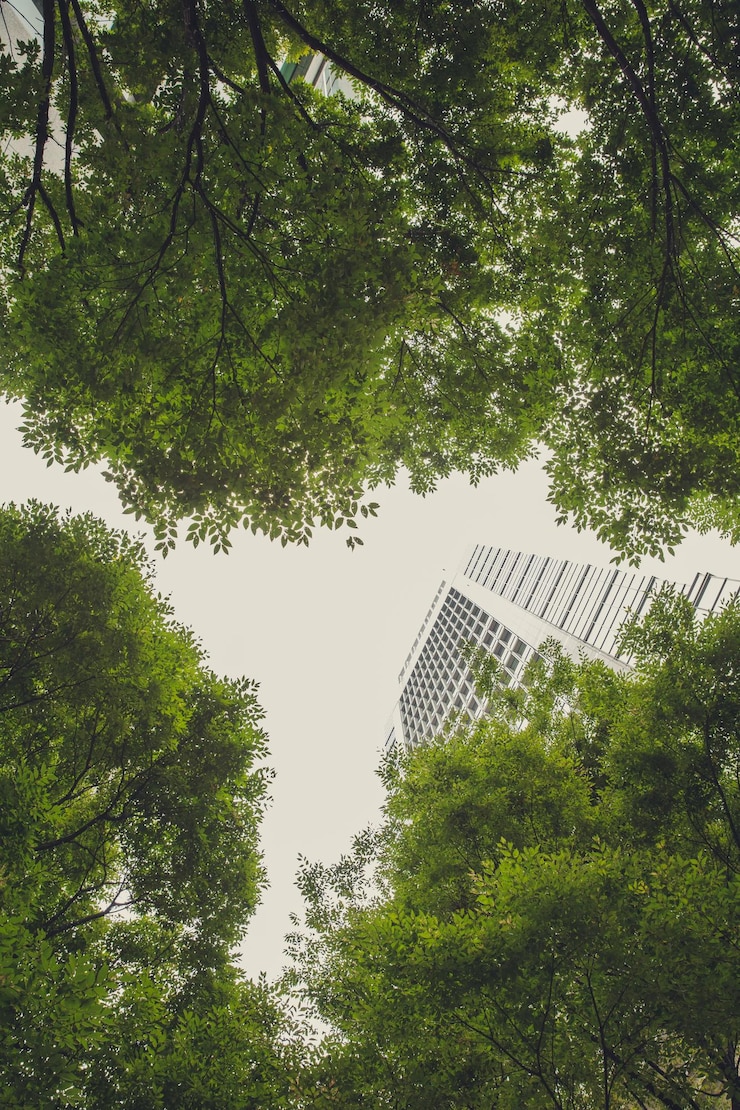 Foto aerea del moderno edificio con alberi verdi e cielo