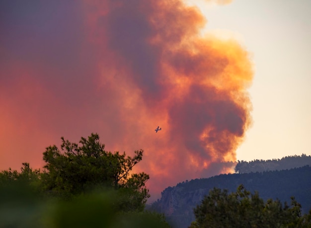 Aerei antincendio sullo sfondo del fumo del fuoco e del fuoco sull'isola greca di Evia Grecia