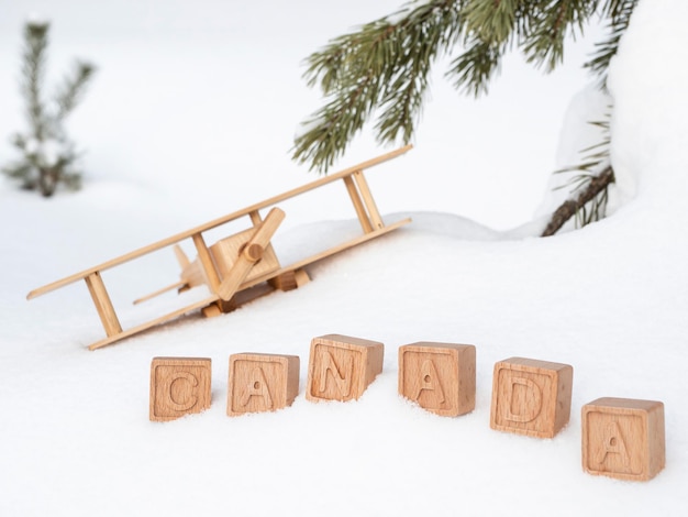 Aereo giocattolo in legno e la scritta Canada fatta di cubi di legno sullo sfondo di una foresta innevata. Il concetto di viaggiare nei paesi invernali, in Canada. Stile retrò, vintage