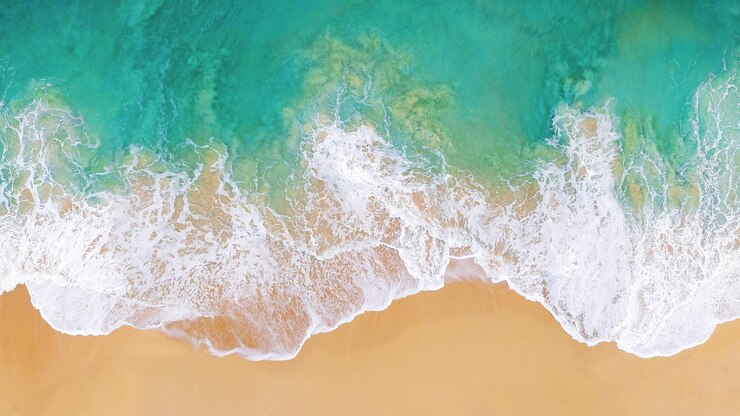 Aerial Drone shot of a sandy beach and ocean waves