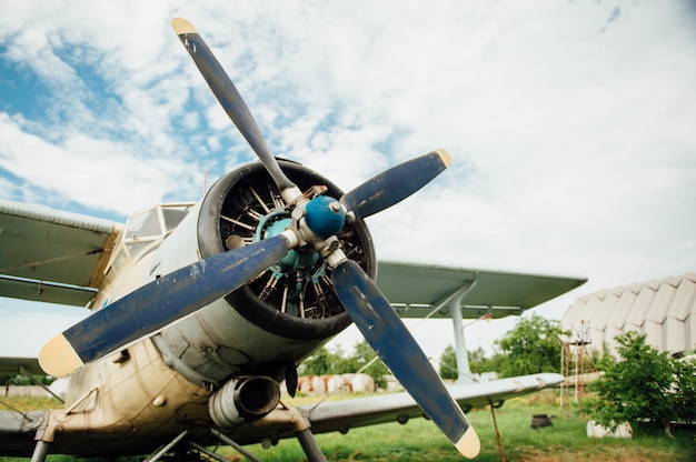 Aeroplani che stanno sull'erba verde. Ucraina, 2016