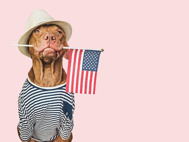Affascinante cappello da sole cucciolo marrone e bandiera americana