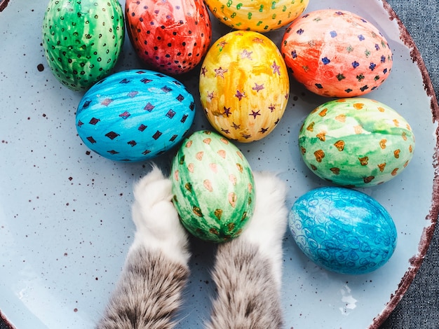 Affascinante gattino e uova di Pasqua dipinte con colori vivaci su uno sfondo bianco. Vista dall'alto, primo piano. Buona Pasqua. Prepararsi per la vacanza