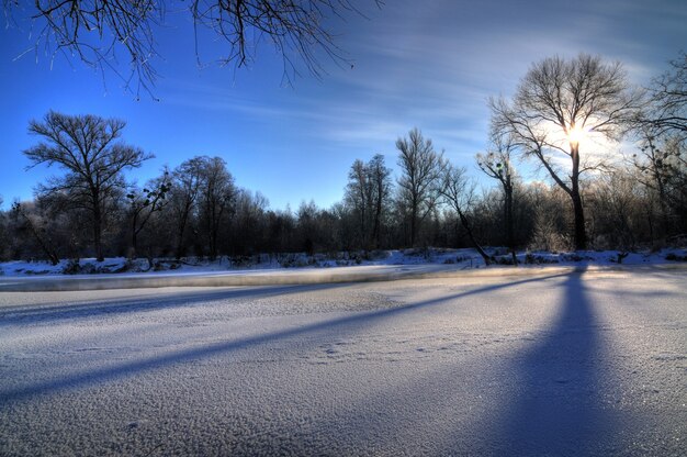 Affascinante paesaggio invernale bellissimi cumuli di neve si ergono nella foresta tra gli alberi in una soleggiata giornata invernale gelida. Il concetto di aspra ma bella natura settentrionale