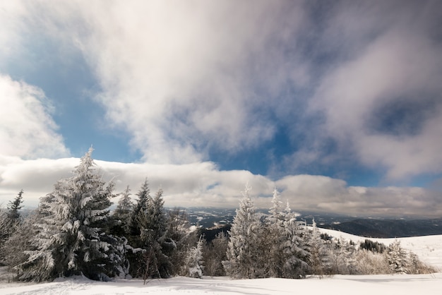 Affascinante paesaggio invernale con un pendio nevoso