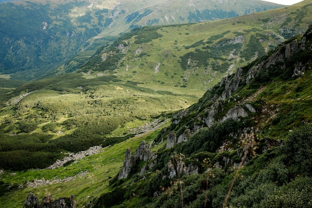 Affascinante vista della cima del monte Spitz dei Carpazi, Ucraina.