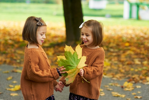 Affascinanti gemelli che raccolgono foglie nella stagione autunnale