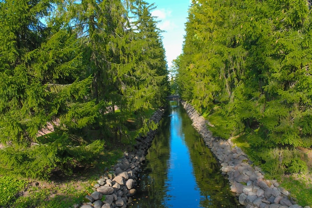 Affluente del fiume nel vicolo del parco