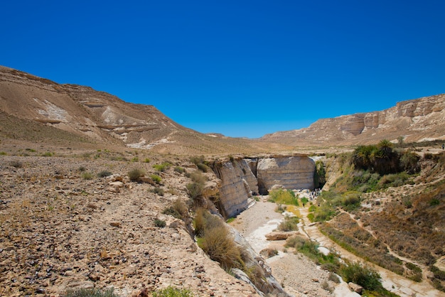 Agar nel deserto in Israele