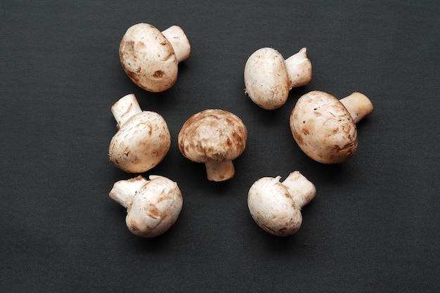 Agaricus bisporus o champignon su sfondo nero isolato