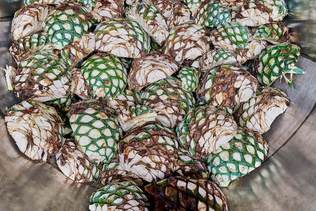 Agave di ananas già tagliato e pronto per essere cotto in forno