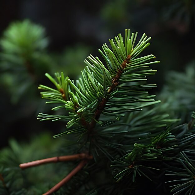 aghi di pino verdi contrapposti al buio generati dall'IA