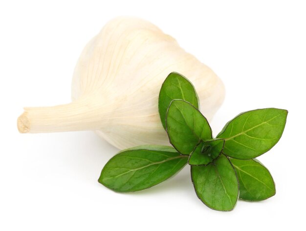 Aglio fresco con il primo piano delle foglie di menta