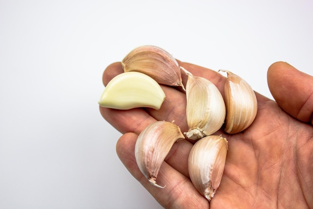 Aglio naturale in una mano maschile Teste di aglio non preparato
