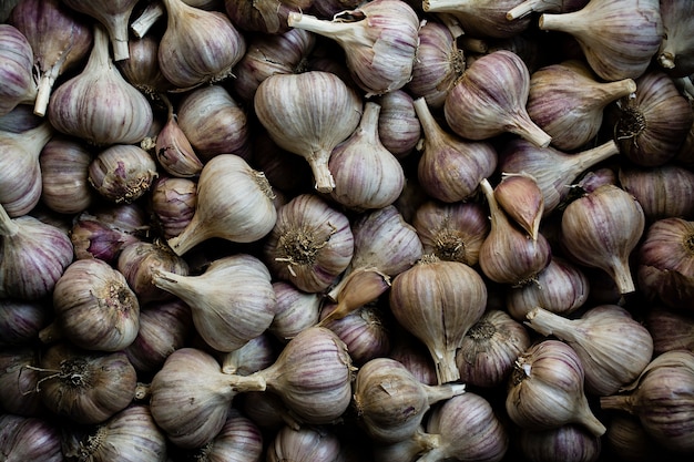 Aglio. Un sacco di aglio per piantare. Aglio viola