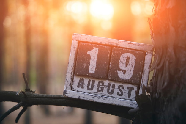 Agosto 19 mese estivo calendario in legno si trova ramo nella foresta sullo sfondo tramonto luminosoGiorno della fotografia e degli aiuti umanitari