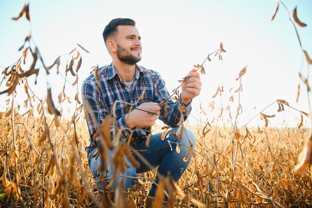 Agricoltore agronomo che esamina lo sviluppo delle colture di soia nel fuoco selettivo del campo della piantagione