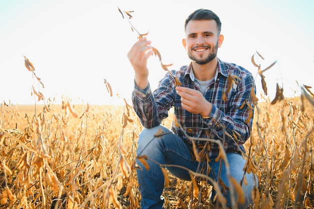 Agricoltore agronomo nel campo di soia che controlla le colture prima del raccolto Produzione e coltivazione di alimenti biologici