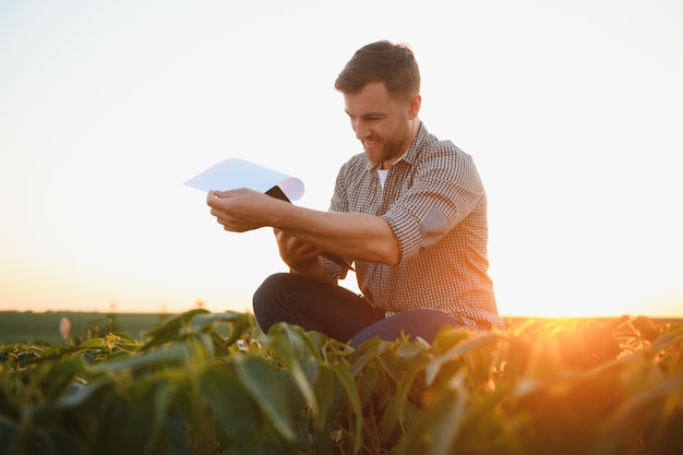 Agricoltore agronomo nel campo di soia che controlla le colture Produzione e coltivazione di alimenti biologici