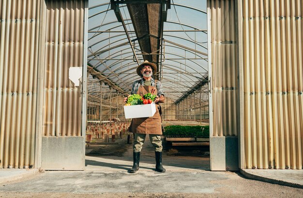 Agricoltore anziano che lavora nella sua fattoria e nella sua serra