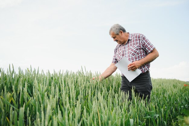 Agricoltore anziano in piedi in un campo di grano