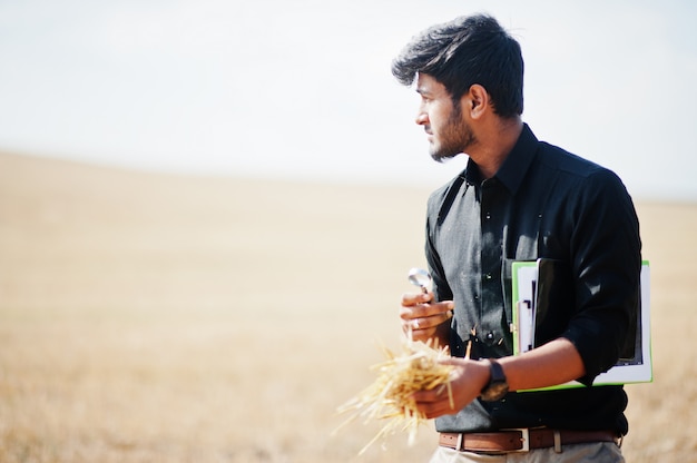 Agricoltore asiatico del sud dell'agricoltura che ispeziona l'azienda agricola del giacimento di grano. Concetto di produzione agricola.