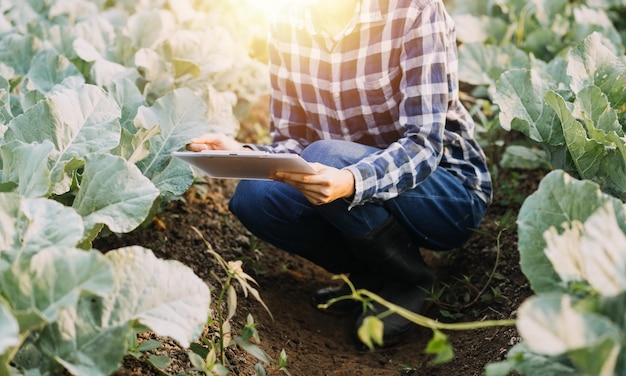 Agricoltore asiatico donna e uomo che lavora insieme in un'azienda agricola di verdure idroponica biologica utilizzando tablet ispeziona la qualità della lattuga nel giardino della serra Agricoltura intelligente