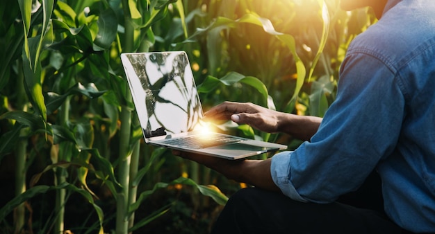 Agricoltore asiatico donna e uomo che lavora insieme in un'azienda agricola di verdure idroponica biologica utilizzando tablet ispeziona la qualità della lattuga nel giardino della serra Agricoltura intelligente