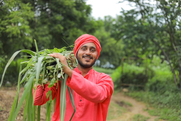 Agricoltore asiatico sorridente che trasporta erba verde fresca sulla sua spalla per l'alimentazione del bestiame