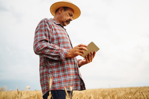 Agricoltore che controlla i progressi del campo di grano che tiene il tablet utilizzando Internet Agricoltura intelligente