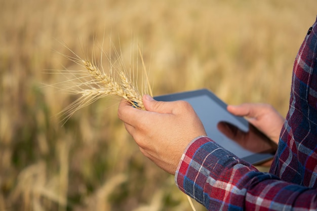 Agricoltore che detiene un agronomo di tablet che utilizza un software di gestione dei dati online che crea mappe di resa sul campo