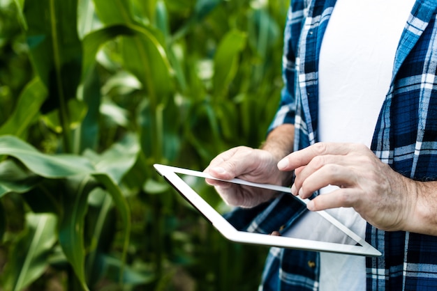 Agricoltore che ispeziona il giorno soleggiato di estate del campo di grano