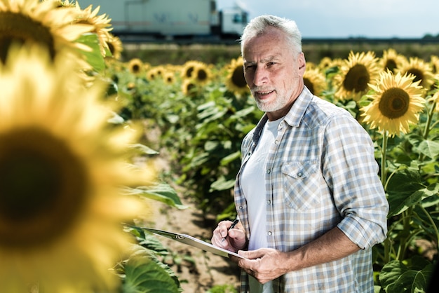Agricoltore che ispeziona il giorno soleggiato di estate del giacimento del girasole