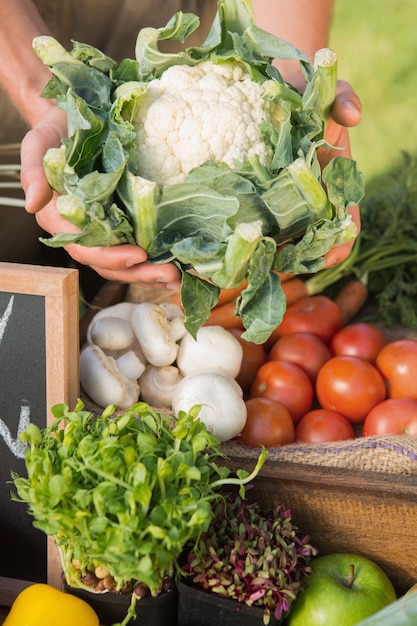 Agricoltore che mostra il suo cavolfiore organico